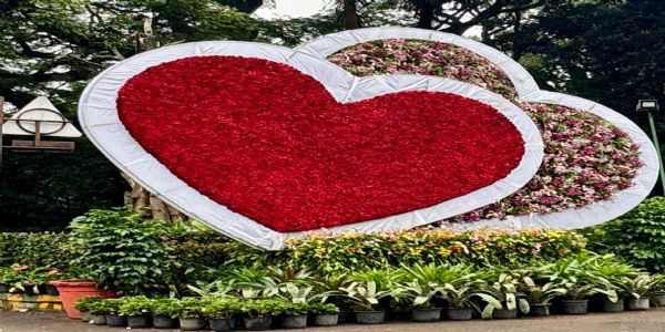 Cubbon Park Flower Show, A Feast To Onlookers