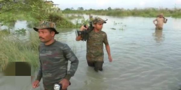 Floods in Orang National Park destroy wildlife