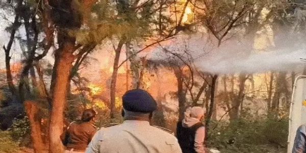 Massive fire in Juri forest near Porbandar, coastal highway closed for now