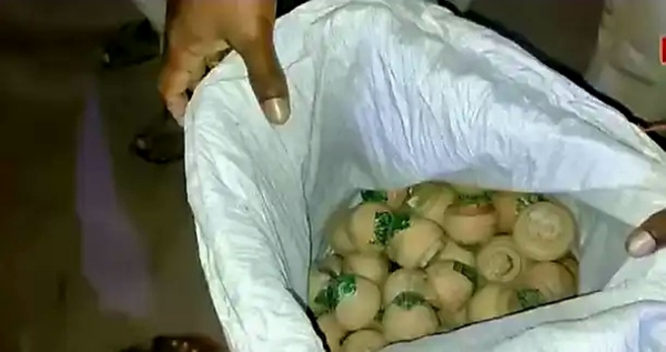 Belda police seize large cache of illegal firecrackers ahead of Kali Puja