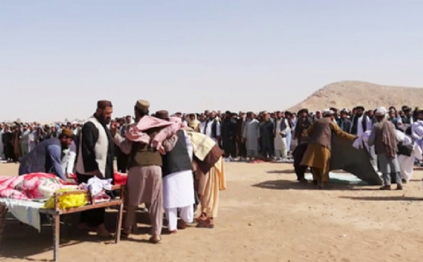 Pakistani Airstrikes Kill Eight Cricketers, Scores of Civilians in Afghanistan Pakistani Airstrikes Kill Eight Cricketers, Scores of Civilians in Afghanistan