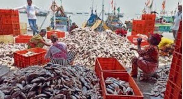 Deepavali Exodus Dents Post-Purattasi Meat Sales in Chennai
