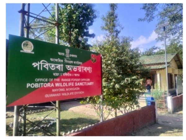 Pobitora Wildlife Sanctuary to Reopen for Tourists on 23rd