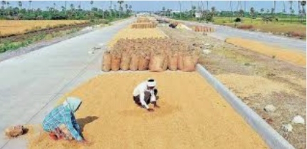 Tamil Nadu Govt Touts Record Paddy Procurement and Major Relief for Farmers Tamil Nadu Govt Touts Record Paddy Procurement and Major Relief for Farmers