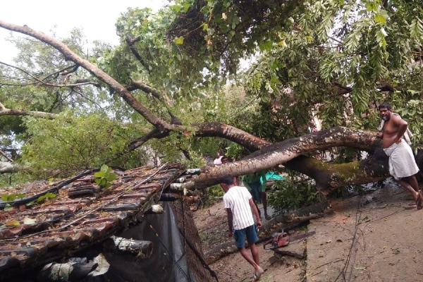 Storm wreaks havoc in Nadia and Hooghly