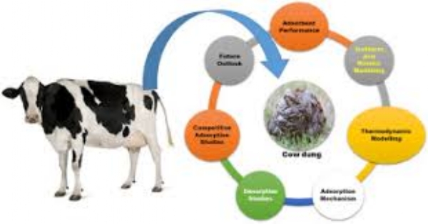 THE ECONOMICS OF COW DUNG AND URINE