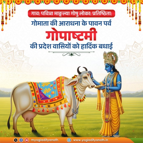 Yogi urges people to protect and conserve cows on Gopashtami Yogi urges people to protect and conserve cows on Gopashtami