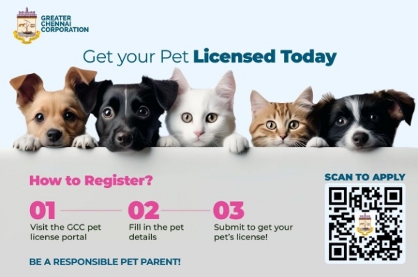 GCC Launches Integrated Digital Portal to Mandate Pet Microchipping and Enhance Stray Dog Control