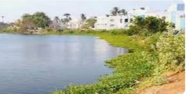 Water resources department proposes Rupees 12 crore revamp for Puthagaram lake