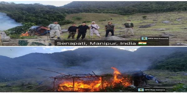 Manipur Police Destroy 10 Acres of Poppy Plantation in Senapati District