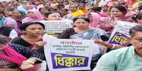 Councillors targeted after no-confidence motion drama