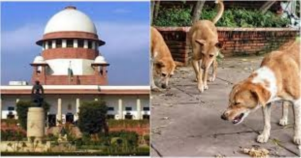 SC to Issue Directions on Feeding of Stray Dogs in Institutions on Nov 7