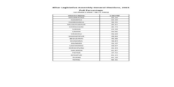 Bihar Polls: Average Turnout Hits 42.31% by 1 PM in First Phase