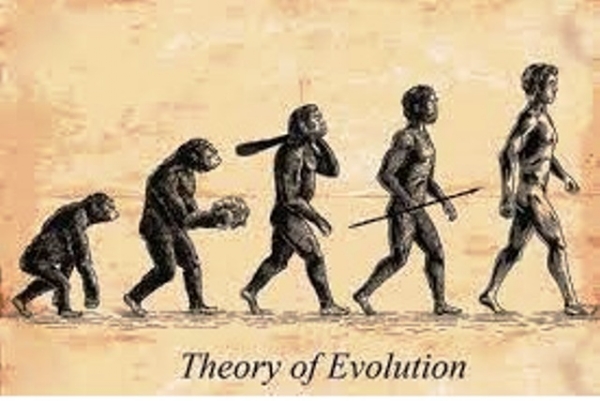 Representational image Representational image