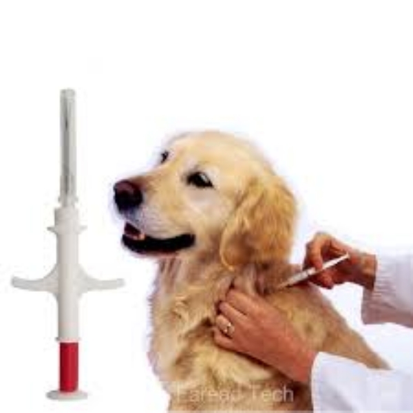 RABIES CONTROL TECHNOLOGY: Microchipping Stray Animals: A Boon for Population Management and Rabies Prevention in Urban India