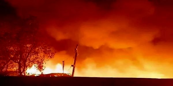 14 fire engines battle blaze near Eco Park