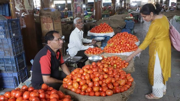 Govt approves implementation of transportation component of MIS for Tomato through NCCF