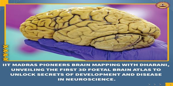 Researchers of IIT Madras Create Largest Dataset of Human Foetal Brain, Paving Way for Groundbreaking Neuroscience Discoveries