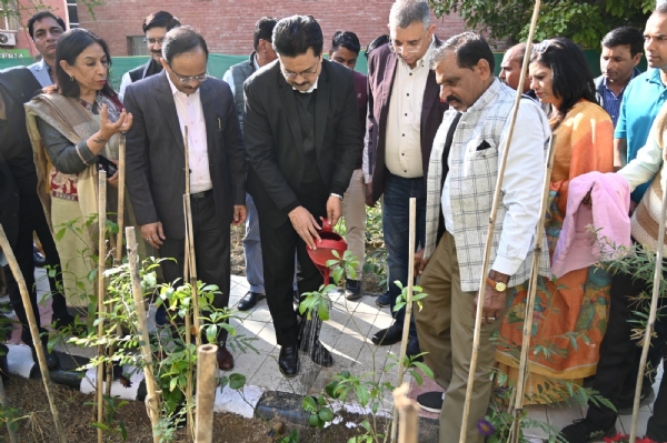 Prof. Yogesh Singh  planted a lemon tree