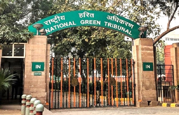 National Green Tribunal file photo