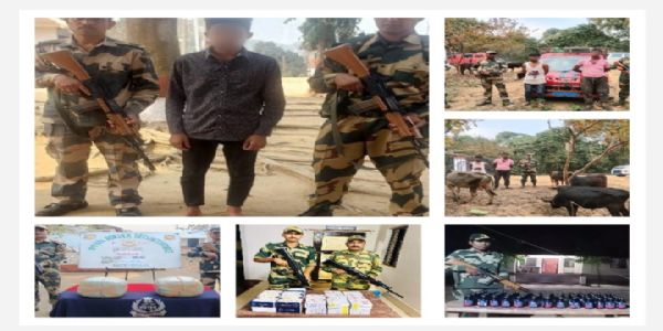 BSF apprehended one, seized contraband items in Tripura