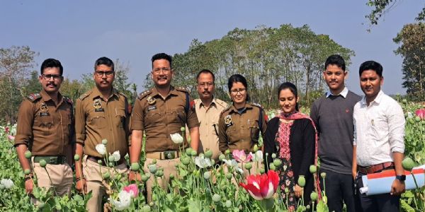 Assam Police destroyed 8 bigha poppy crop