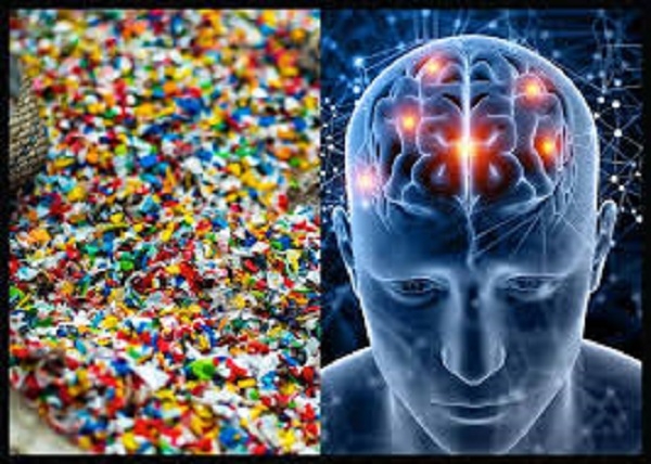 Microplastics Found in Human Brains