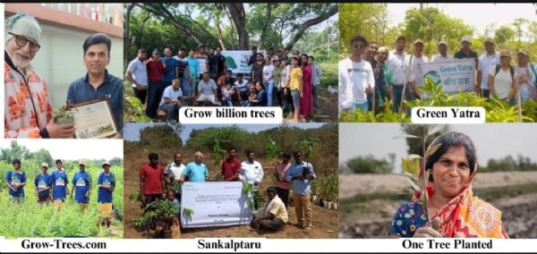 These organisations are nurturing biodiversity and replenishing Nature by planting millions of trees every year