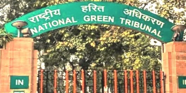 NGT seeks evidence from Petitioner on Open Defecation Claims at Mahakumbh