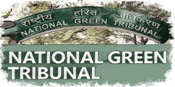 NGT Cracks Down on Buckingham Canal Pollution, Orders Chennai Corporation to Act