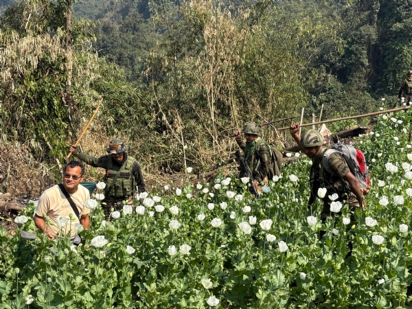 अरुणाचल प्रदेश में असम राइफल्स द्वारा अफीम की खेती के विरुद्ध चलाए जा रहे अभियान की तस्वीर।