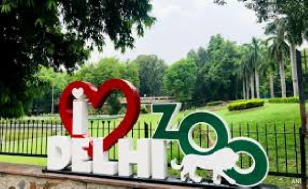 Delhi Zoo