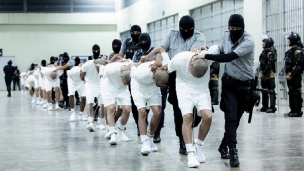 The United States has sent these people to El Salvador.