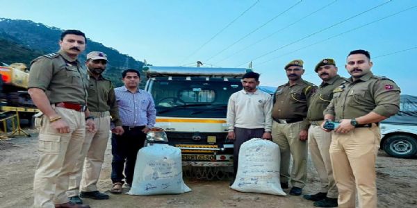 J&K Police Seize 40 Kg Poppy In Udhampur, One Arrested