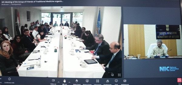 Sixth Meeting of the Group of Friends of Traditional Medicine (GFTM) held in Geneva Sixth Meeting of the Group of Friends of Traditional Medicine (GFTM) held in Geneva