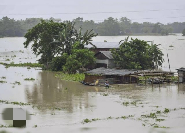 Flood