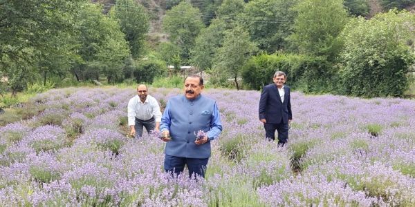Lavender Gave Bhaderwah National Identity, National Role In India’s Growth Story: Dr Jitendra