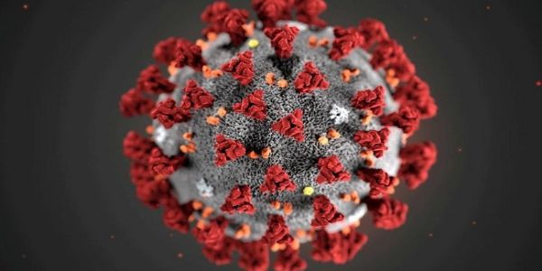 Ahmedabad reports first coronavirus death, 55 new cases today