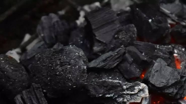 Representational image Representational image