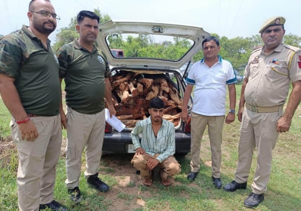 Police, Forest Officials Foil Attempt To Smuggle Khair Wood At Agore