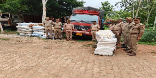 Illegal ganja worth Rs 1 cr recovered in Sonbhadra
