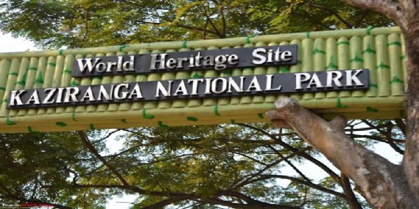 40% of sixth area added to Kaziranga submerged in flood