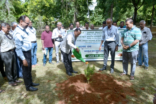 World Environment Day 2025
