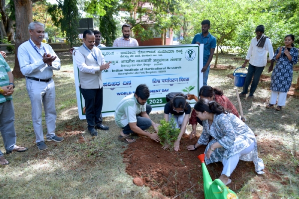 World Environment Day 2025