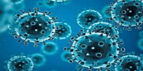 Active COVID-19 cases rise to 4,866; 7 new deaths reported in 24 hours