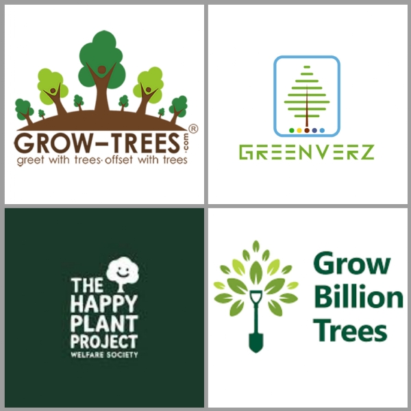 How these 4 afforestation initiatives are reinventing green gifting in India