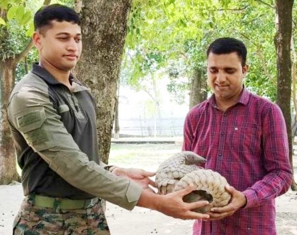 Army Rescues Pangolin Near LoC In Jammu