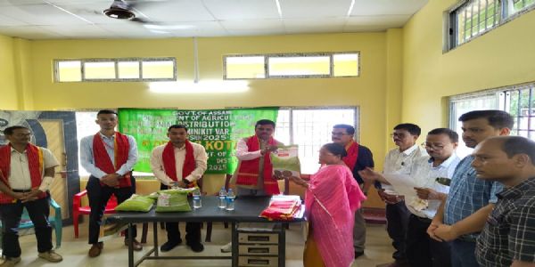 Assam CS Ravi Kota reviews pineapple cultivation, tea labour rehabilitation projects in Cachar
