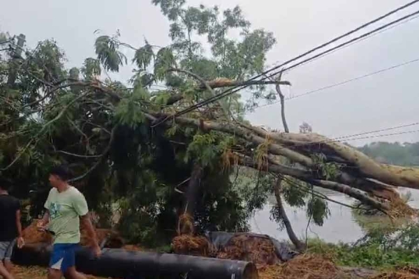 Three minutes of storm ravages two villages in South 24 Parganas, dozens of homes damaged