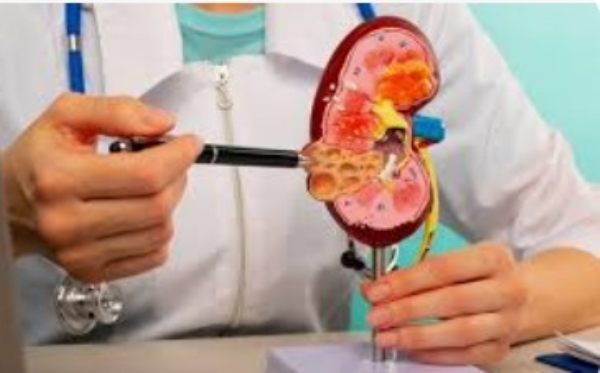 Kidney Racket: Health Department Launches Probe in Namakkal